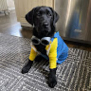 Meet your Posher, Carmen